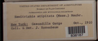 Image Associated With the Occurence